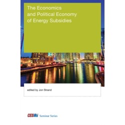 The Economics and Political Economy of Energy Subsidies