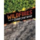 Wildfires and the Environment