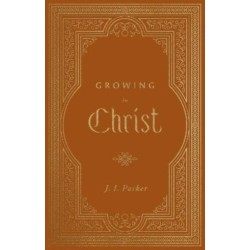 Growing in Christ