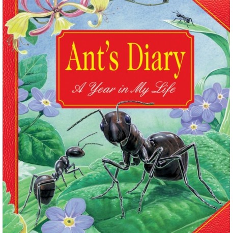 Ant's Diary