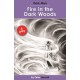 Fire in the Dark Woods: Dark Man Plays