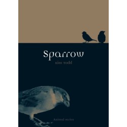 Sparrow