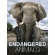 Endangered Animals