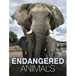 Endangered Animals