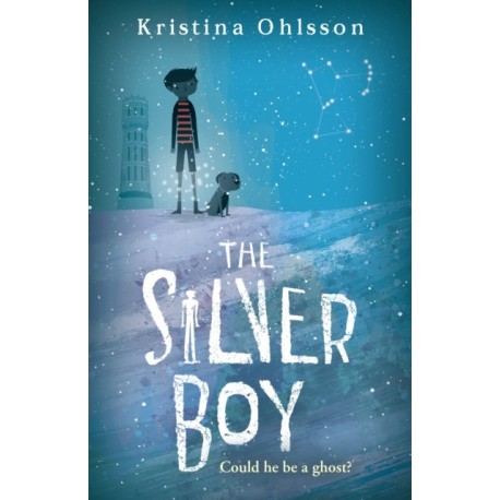 The Silver Boy