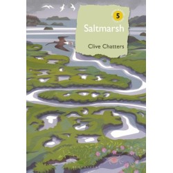 Saltmarsh