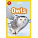 Owls: Level 2