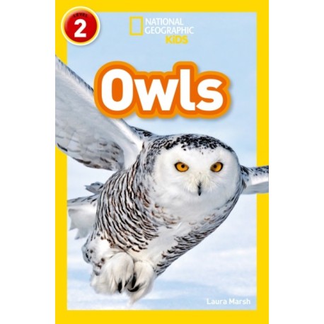 Owls: Level 2