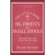 The Little Book of Big Profits from Small Stocks, + Website: Why You'll Never Buy a Stock Over $10 Again