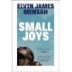 Small Joys: A Buzzfeed 'Amazing New Book You Need to Read ASAP'