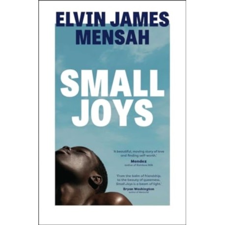 Small Joys: A Buzzfeed 'Amazing New Book You Need to Read ASAP'