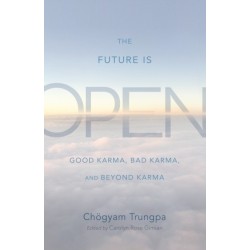The Future Is Open: Good Karma, Bad Karma, and Beyond Karma