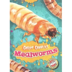 Mealworms
