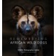 Remembering African Wild Dogs