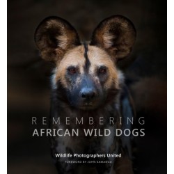 Remembering African Wild Dogs