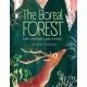 The Boreal Forest: A Year in the World's Largest Land Biome