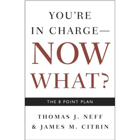 You're in Charge, Now What?: The 8 Point Plan
