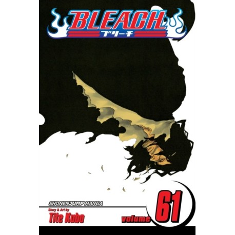 Bleach, Vol. 61: The Last 9 Days