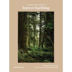 The Healing Magic of Forest Bathing: Finding Calm, Creativity, and Connection in the Natural World