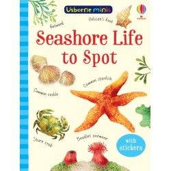 Seashore Life to Spot