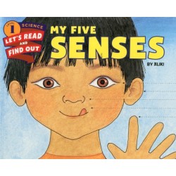 My Five Senses