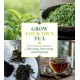 Grow Your Own Tea: The Complete Guide to Cultivating, Harvesting, and Preparing
