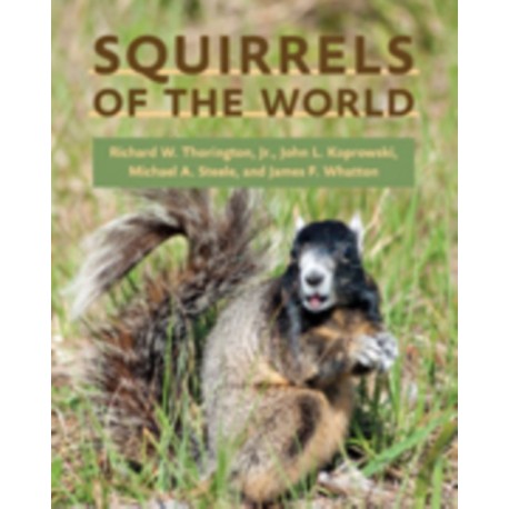 Squirrels of the World