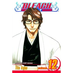 Bleach, Vol. 12: Flower on the Precipice