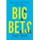 Big Bets: How Large-Scale Change Really Happens