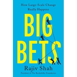 Big Bets: How Large-Scale Change Really Happens