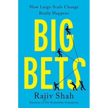 Big Bets: How Large-Scale Change Really Happens
