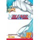 Bleach, Vol. 32: Howling