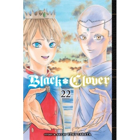 Black Clover, Vol. 22: Dawn