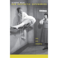 Our Aesthetic Categories: Zany, Cute, Interesting