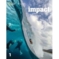 Impact 1