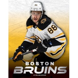 Boston Bruins