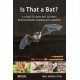 Is That a Bat?: A Guide to Non-Bat Sounds Encountered During Bat Surveys