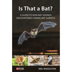 Is That a Bat?: A Guide to Non-Bat Sounds Encountered During Bat Surveys