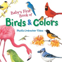 Baby's First Book of Birds & Colors