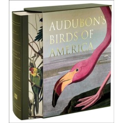 Audubon’s Birds of America: Baby Elephant Folio