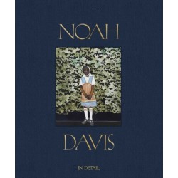 Noah Davis: In Detail