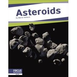 Asteroids