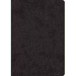 ESV Study Bible, Large Print