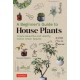 A Beginner's Guide to House Plants: Creating Beautiful and Healthy Green Spaces in Your Home