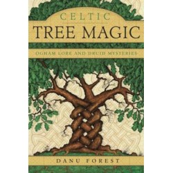 Celtic Tree Magic: Ogham Lore and Druid Mysteries