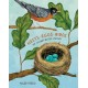 Nests, Eggs, Birds: An Illustrated Aviary
