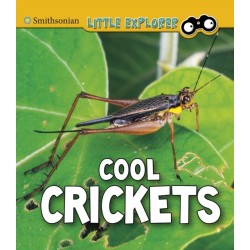 Cool Crickets