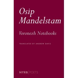 The Voronezh Notebooks