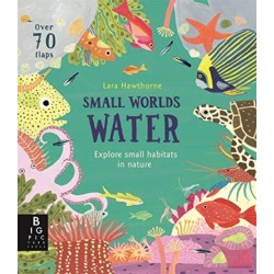 Small Worlds: Water