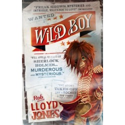 Wild Boy: A pacy mystery adventure story set in the smoggy underworld of Victorian London, perfect for fans of detective fiction aged 9, 10, 11, 12